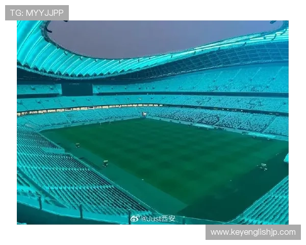 西安国际足球中心草皮仍存问题