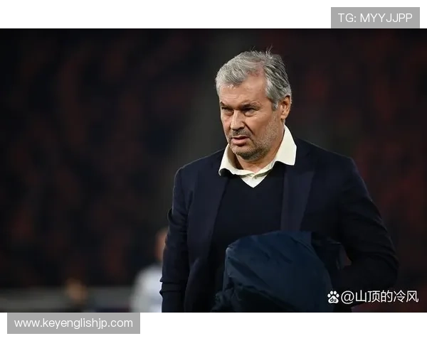 一月引援助力保级 斯特雷费扎与埃尔菲奇